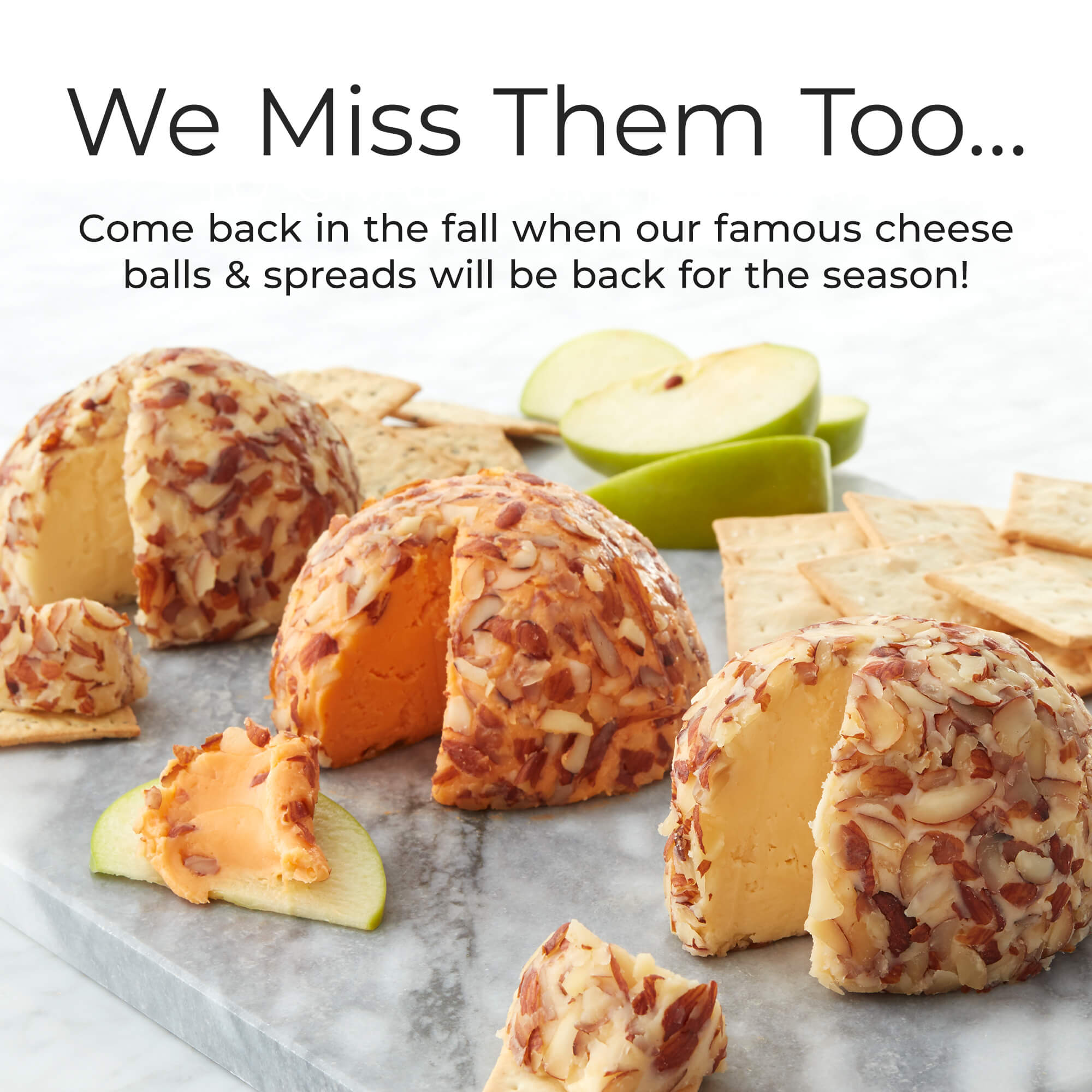 We miss them too...Come back in the fall when our famous cheese balls and spreads will be back for the season.