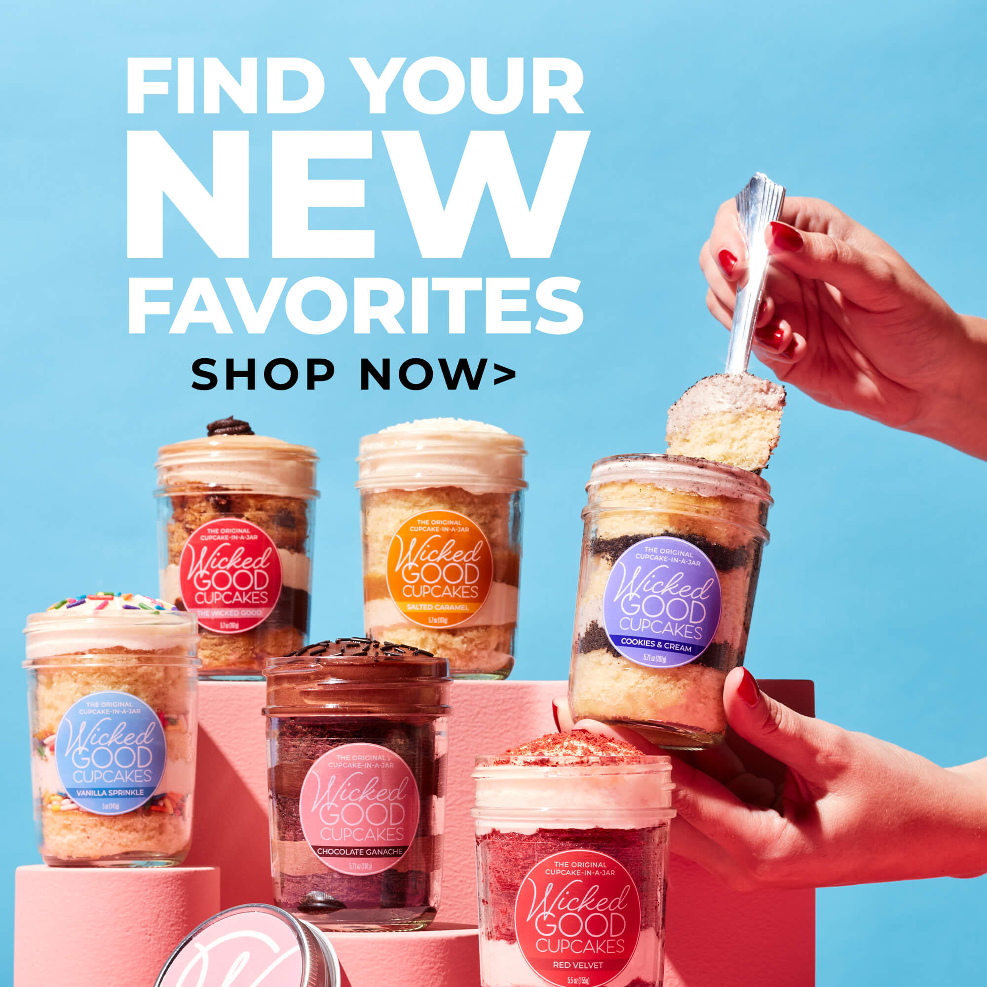 Find your new favorites. Shop now.